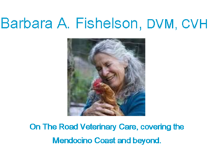 Sponsor Image for Barbara Fishelson, DVM, CVH